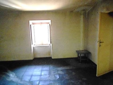Photo of the lot 8