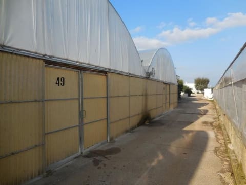 Photo of the lot 1