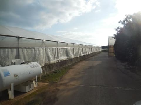 Photo of the lot 3