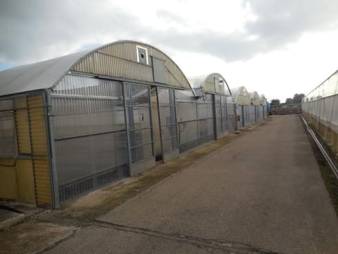 Photo of the lot 7