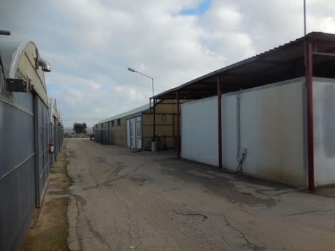 Photo of the lot 8