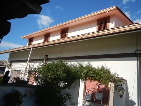 Photo of the lot 5