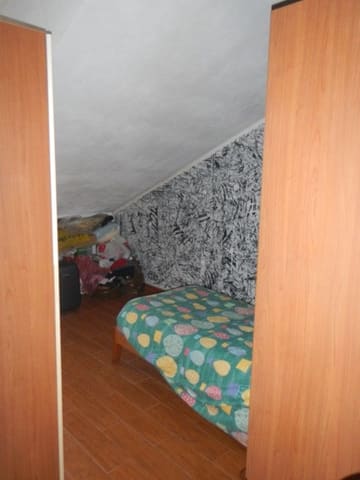 Photo of the lot 8