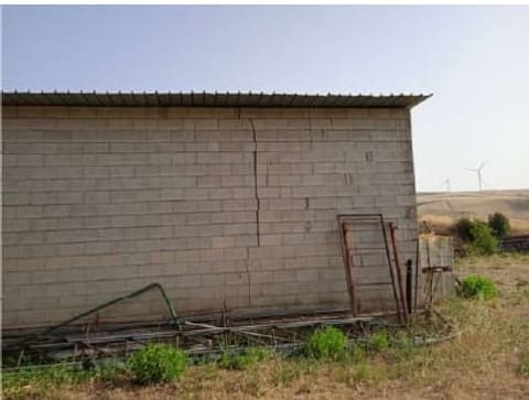 Foto del lotto 1