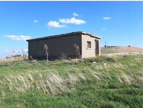 Foto del lotto 5