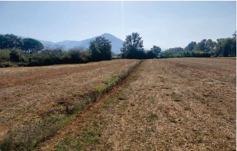 Photo: Altra categoria in Maenza (LT)