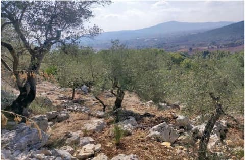 Photo: Altra categoria in Maenza (LT)