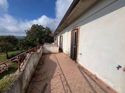 Photo of the lot 5