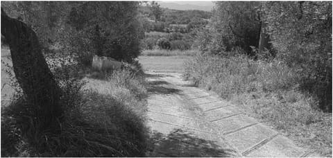 Photo of the lot 3