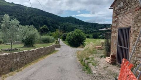 Photo of the lot 3