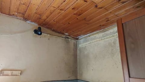 Photo of the lot 8