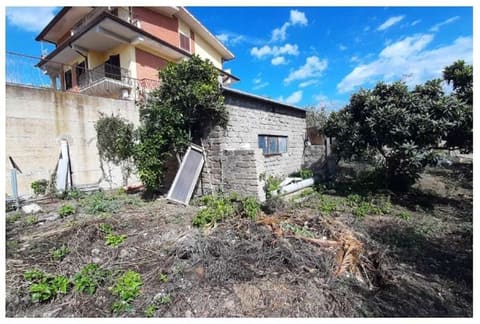 Photo of the lot 2
