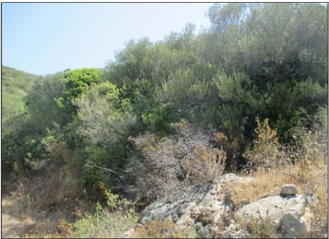 Photo of the lot 1