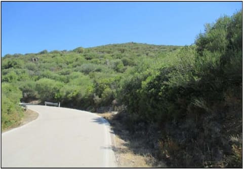 Photo of the lot 2