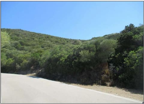 Photo of the lot 3