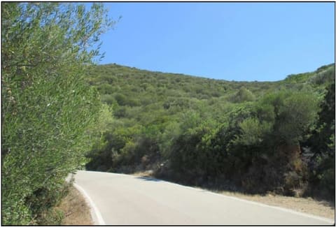 Photo of the lot 4