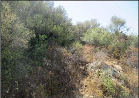Photo of the lot 5