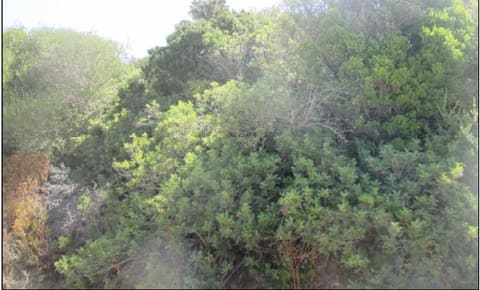 Photo of the lot 6