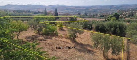 Photo: Altra categoria in Valderice (TP)
