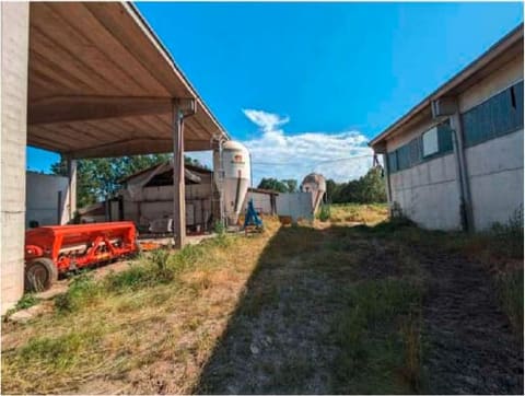 Photo of the lot 3