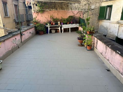Photo of the lot 5