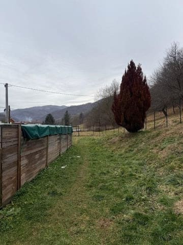 Photo of the lot 2