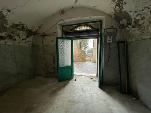 Photo of the lot 7