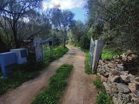Photo of the lot 2