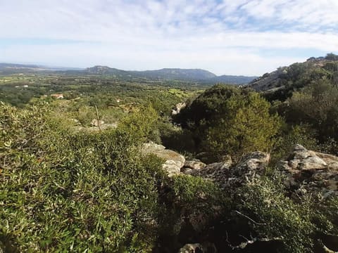 Photo of the lot 4