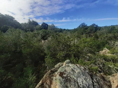 Photo of the lot 5
