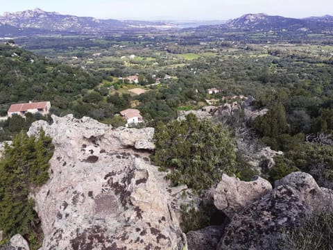Photo of the lot 7