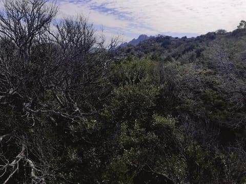Photo of the lot 8
