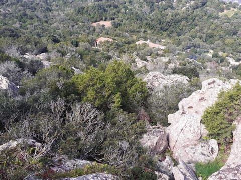 Photo of the lot 9