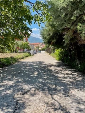 Photo of the lot 2