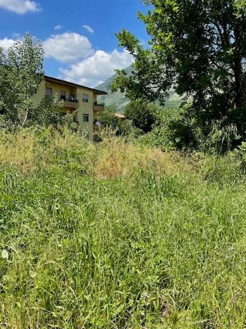 Photo of the lot 3