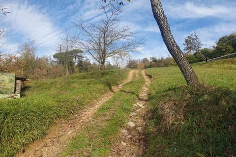 Photo: Altra categoria in Pieve Fosciana (LU)