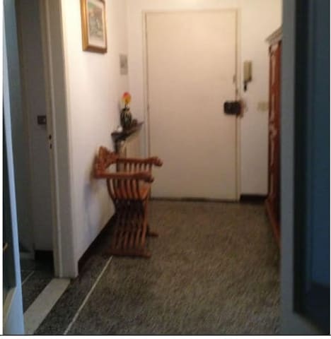 Photo of the lot 3