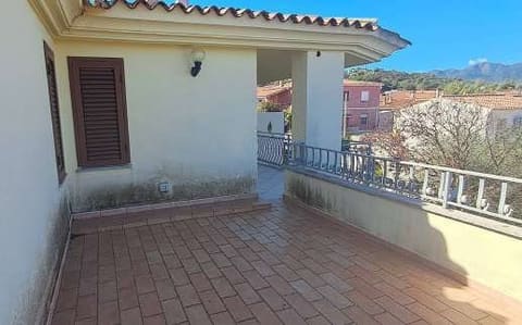 Photo of the lot 3