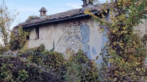 Photo of the lot 1