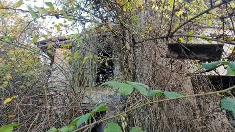 Photo of the lot 6