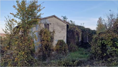 Photo of the lot 8