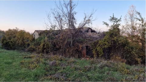 Photo of the lot 2