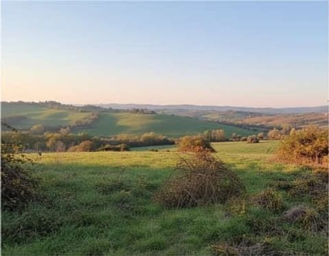 Photo of the lot 3