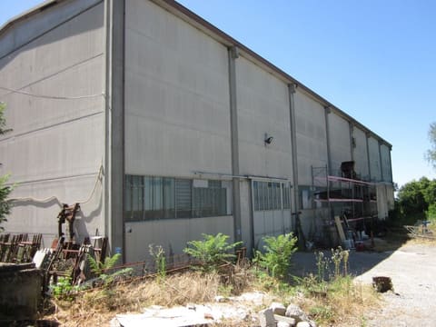 Photo of the lot 4