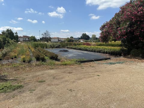 Photo of the lot 2