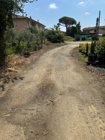 Photo of the lot 5