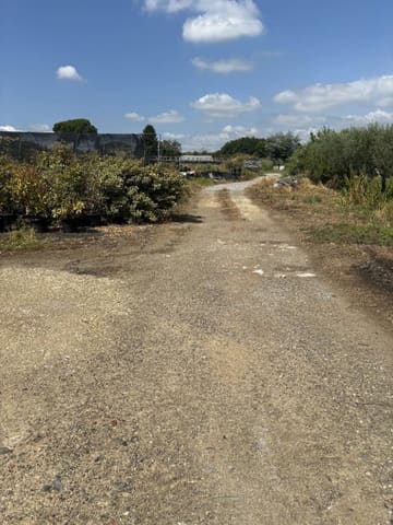 Photo of the lot 6