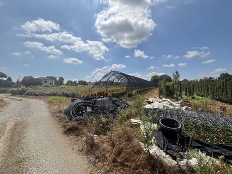 Photo of the lot 7