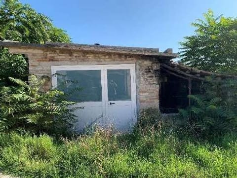 Photo of the lot 2