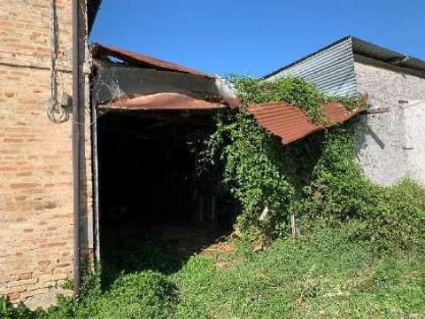 Photo of the lot 3